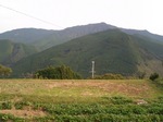 CIMG3952.JPG