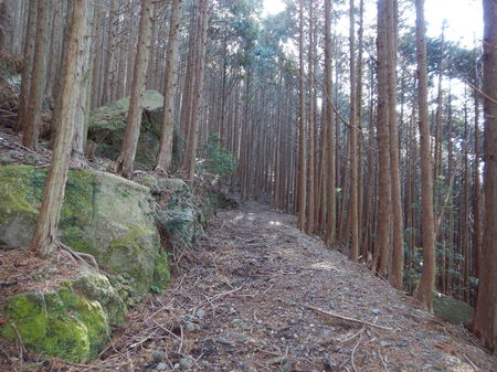 DSCN0309.JPG